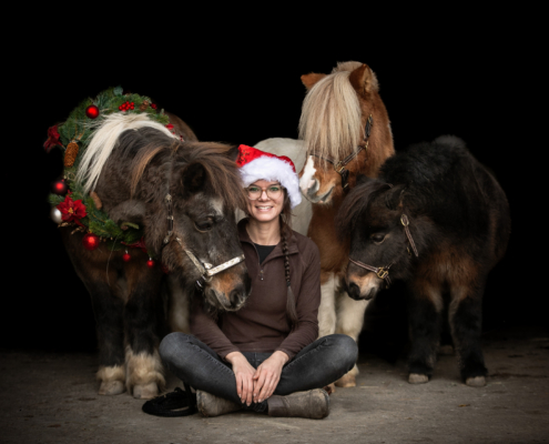 Weihnachtskranz