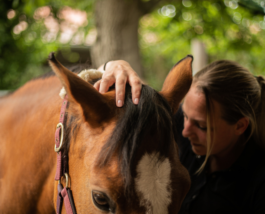 Dienstleistung Physiotherapie