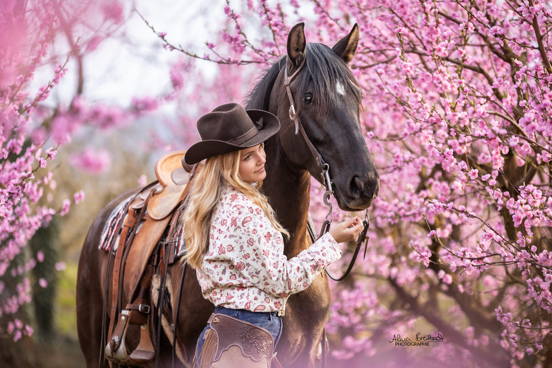 PRE Pferd Blüten Shooting PRE Pferd Blüten Shooting